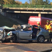 Na dálnici D5 se srazilo auto s koněm, zemřel řidič i kůň