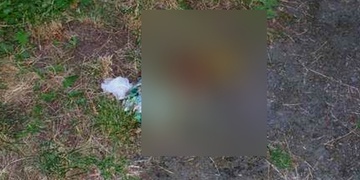 Mrtvý pes měl kolem hlavy omotanou izolační pásku