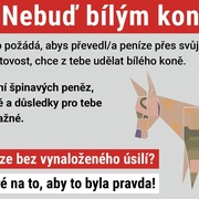 Bílým koněm snadno a rychle