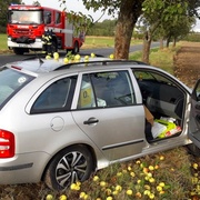 Řidička narazila do jabloně