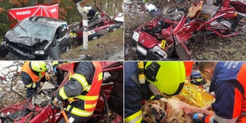 Při velmi vážné nehodě zemřel řidič i jeho pes Duky