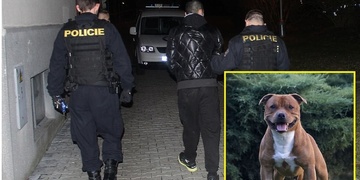 Za loupež psa putoval Kominík na vazbu!