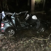 Cizinec po nárazu do stromu zemřel