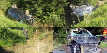 Kvůli souboji s vosou žena nezvládla řízení