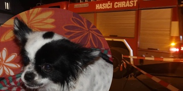 Aminka spadla do třináctimetrové studny