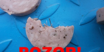 Hlídejte si své domácí mazlíčky !