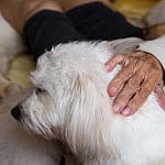 Tísňová linka seniorů zachránila dalšího člověka