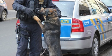 Právě teď psovod policie chytil prchajícího opilého řidiče