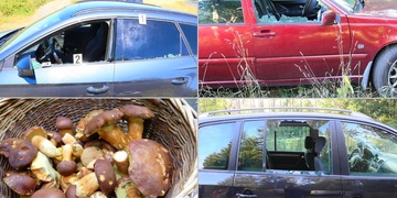 Postrach houbařů konečně dopaden