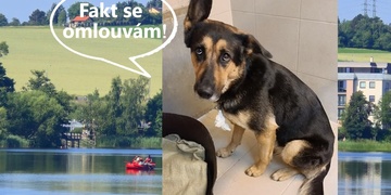 Velká pátrací akce na Boleváku byla ukončena