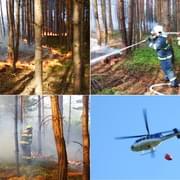 Les u Chotíkova zachvátil požár