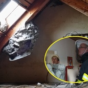 Největší vosí hnízdo poslední doby likvidovali hasiči