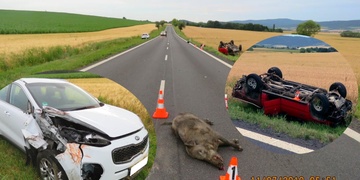 Dopravní nehodu dvou aut způsobil divočák