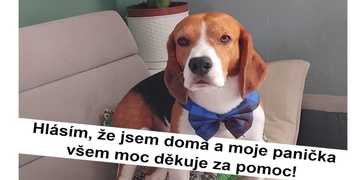 Ron je zpět doma a máme pro vás i dopis šťastné majitelky