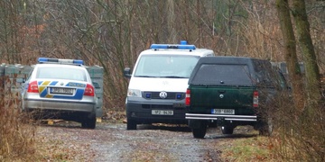 Muže zabil padající strom