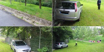 Auto projelo plotem ZOO