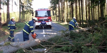 Padají stromy a v některých ulicích Plzně nejde elektrika