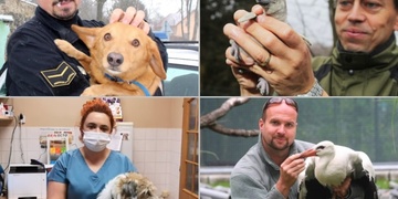 Jak zvířecímu kamarádovi usnadnit přežití Silvestra?