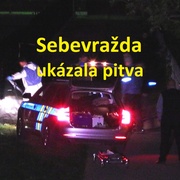 Pitva dvacetileté Činky ukazuje na sebevraždu