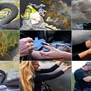 Peklo na Pekelném rybníku