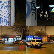 Za dva dny čtyři zadržení vandalové