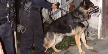 Osmašedesátiletého seniora přepadli v mezinárodním rychlíku, ten pak zastavili a z místa uprchli