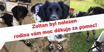 Pátrání bylo ukončeno