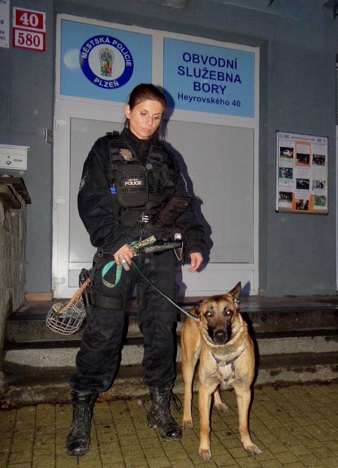 Policejní razie na Americké | Krimi Plzeň