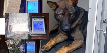 Před Rexem drogy neschovali