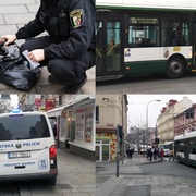Trolejbus na Americké usmrtil psa