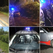 Někdo v Plzni na Rondelu naučil audinu létat