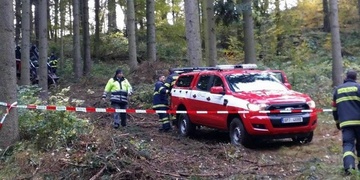 Žena přišla o život při kácení stromů