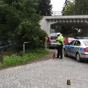 Dramatická honička dnes skončila havárií pronásledovaného vozidla Audi