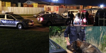 Služební pes nalezl v autě muže bez řidičáku pervitin