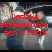 Desítka přepadených žen v Plzni