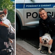 Příběh štěněte zavřeného ve sklepě a jednoho mladého policisty