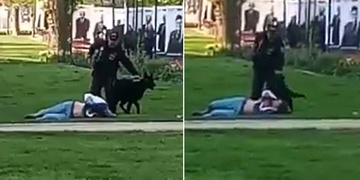 Že nakopnout služebního psa je fakt blbost, pochopil agresor pozdě