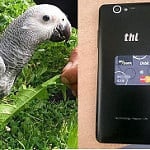 Žako Kongo je doma, díky! Telefon ale na majitele stále čeká.
