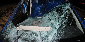 Řidiči osobního automobilu náhle vběhl do jízdní dráhy kůň