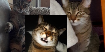 Moc prosíme, pomozte nám Lea najít