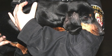 Opilý pejskař napadl strážníka