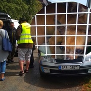 Úděsnou množírnu psů rozbil zásah policie