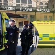 Na hlavním nádraží upadla seniorka - okamžitě ji okradli!