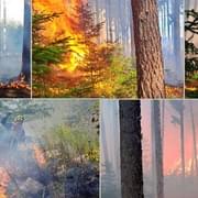 Právě teď zuří dva požáry lesa