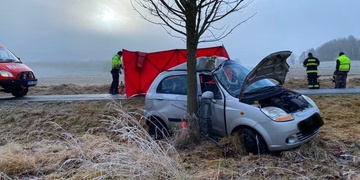 Řidič náraz do stromu nepřežil