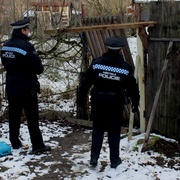 Smečka psů patřících bezdomovcům napadá psy na vodítku