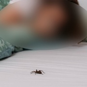 Zoufalé ženské volání o pomoc spustilo manévry