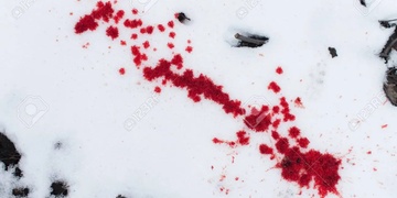 Loupil vyzbrojený hrablem na sníh