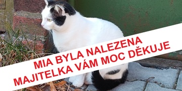 Mia byla nalezena, majitelka vám moc děkuje