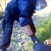 Z kolejí ji dostali jen vteřiny před příjezdem vlaku